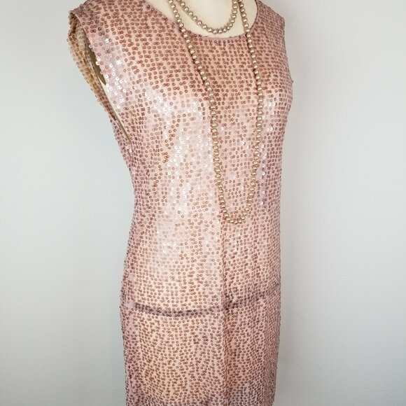 Vintage Rose Pink Sheer Shimmer Sheath Dress * Ladies Size Small - Picture 6 of 6
